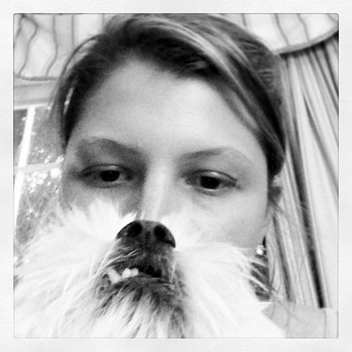 tooth dog beard