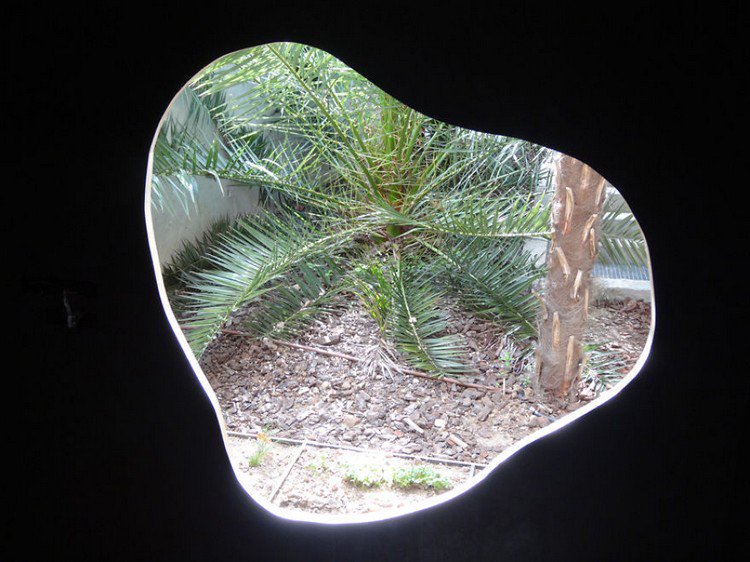 treeless treehouse plant view