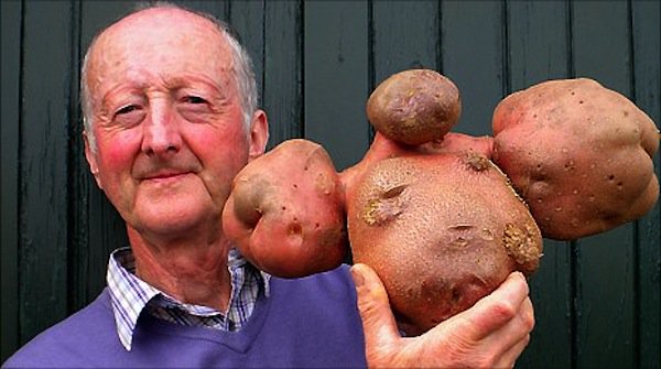 vege-potato