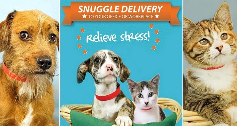 Animal Shelter Snuggle Deliveries