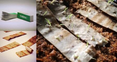 Biodegradable Cigarette Filters Tree Seeds