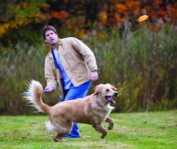Disc Thrower Dog Toy launcher