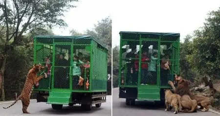 Lehe Ledu Wildlife Zoo China people in cages