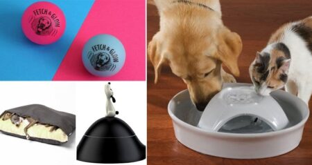Items Every Dog Will Love