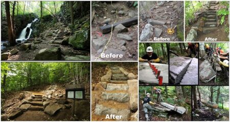 Jolly Rovers Trail CreW