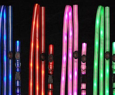 LED dog leash and collar colours