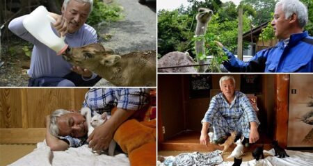 Man Lives Alone In A Radioactive Town To Look After Abandoned Animals