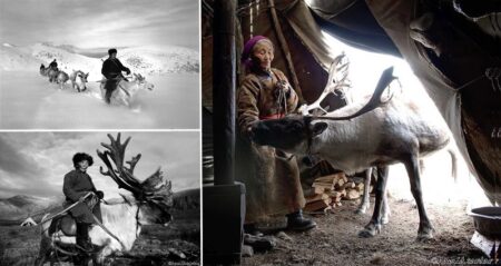 Reindeer People Of Mongolia