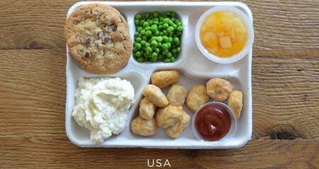School Lunches From All Over The World