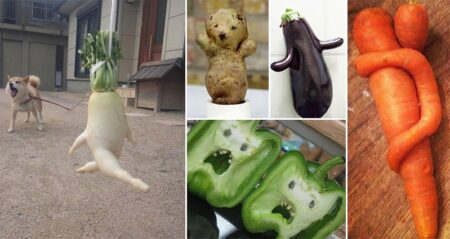 fruit and vegetables that look funny