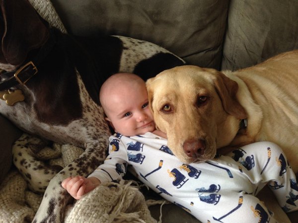 baby-and-dog-pillows