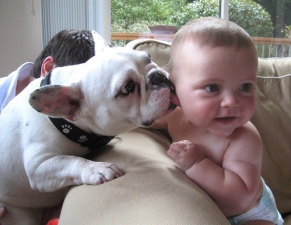 baby-and-frenchie-kisses
