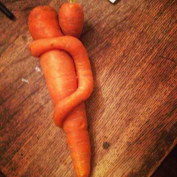baby mommy carrot