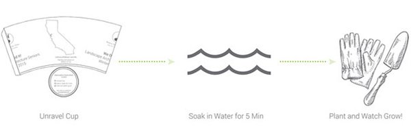 biodegradable-plantable-coffee-cup-infographic-top
