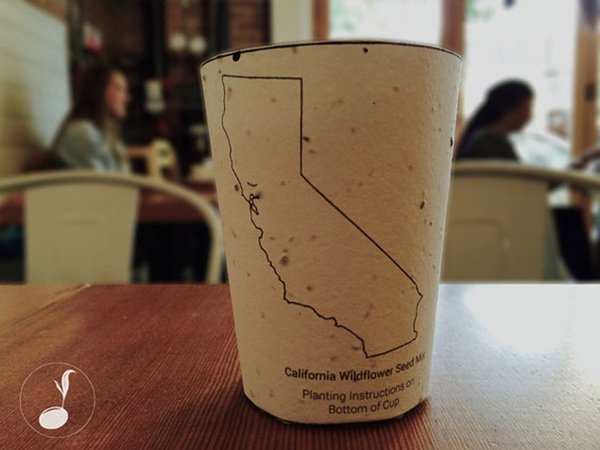 biodegradable-plantable-coffee-cup-reduce-reuse-grow