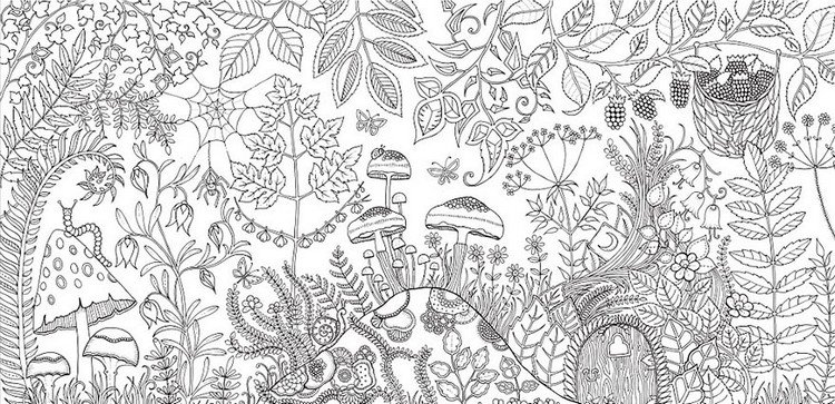 Download Artist Johanna Basford Creates Coloring Books For Adults ...