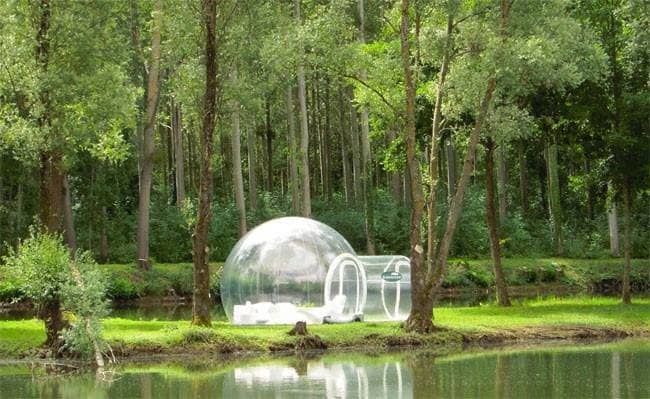 bubble hotel forest lake