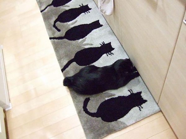 camo-cats-cat-mat