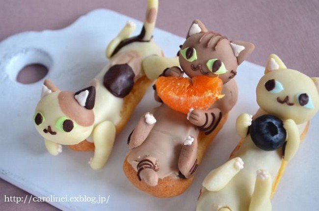 cats fruit