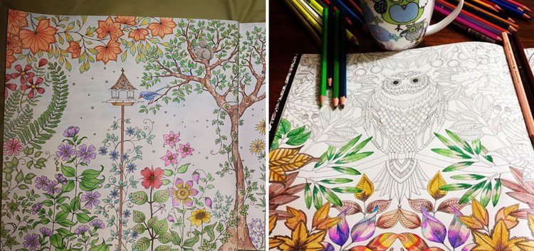 coloring in pages