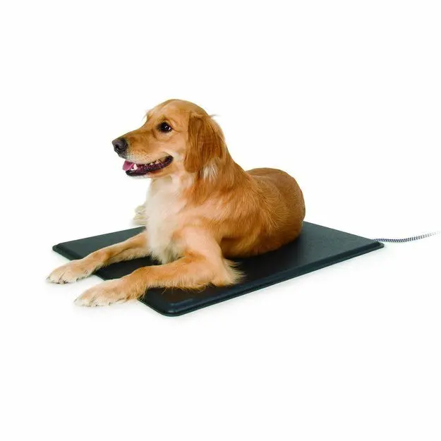 dog laying on heated mat