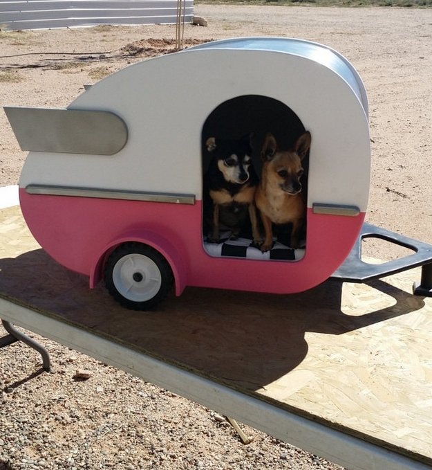 dog-trailer