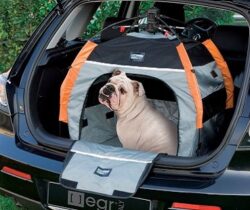 dog travel tent car