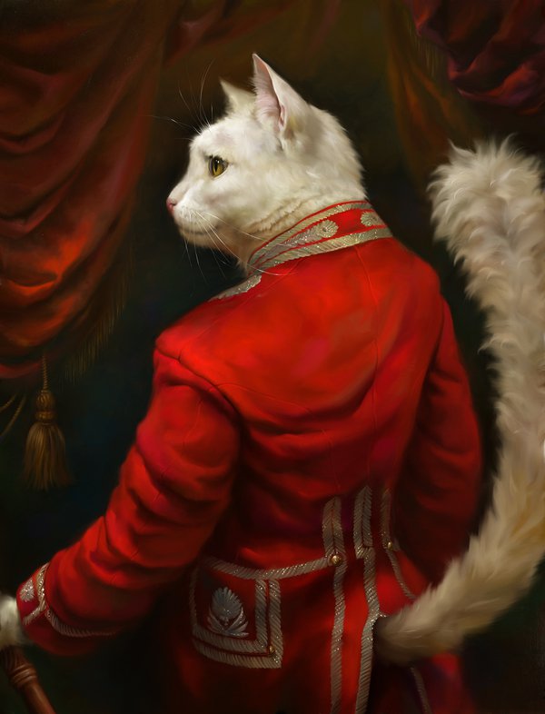 eldar-zakirov-cats-white