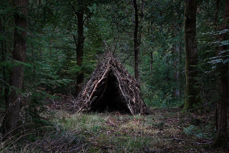 forest-hut