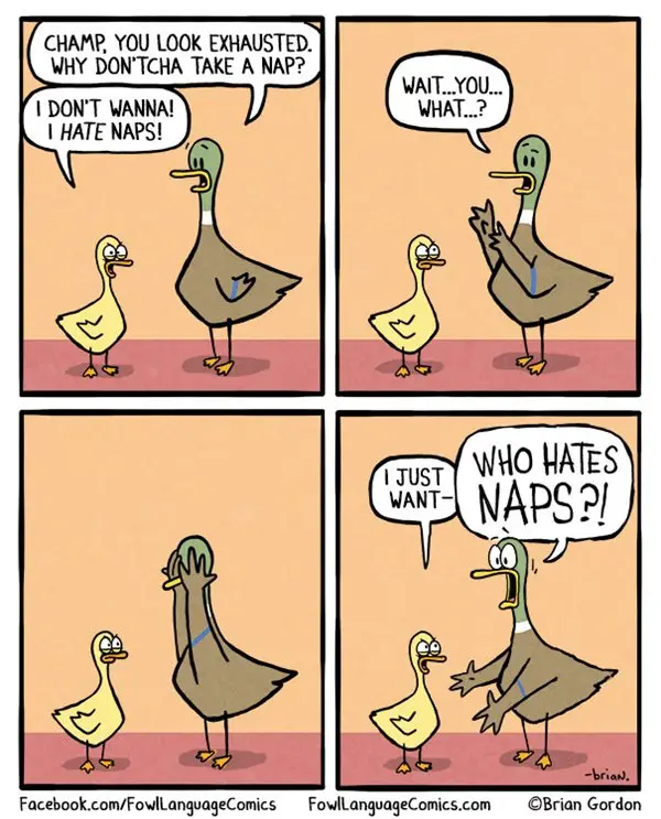 fowl-language-comics-naps