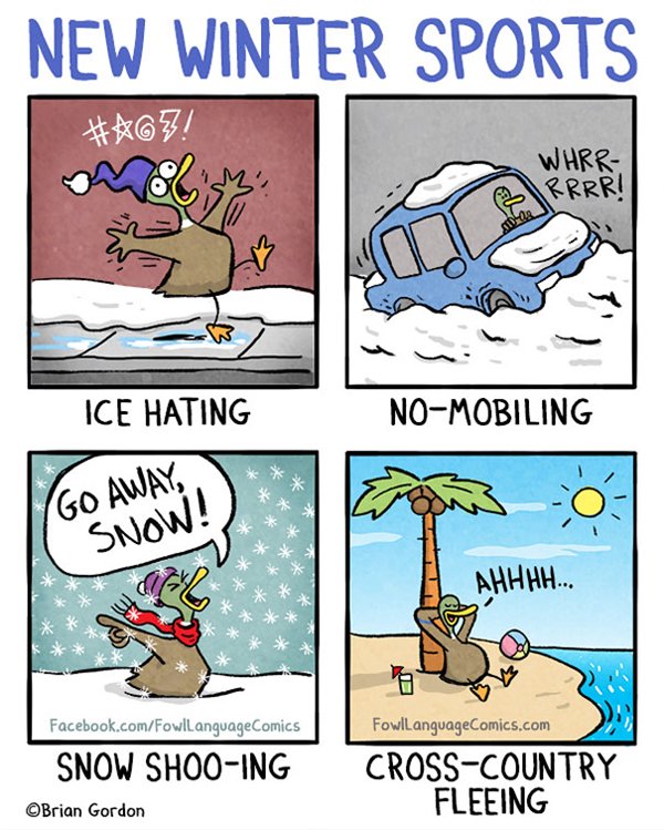 fowl-language-comics-snow