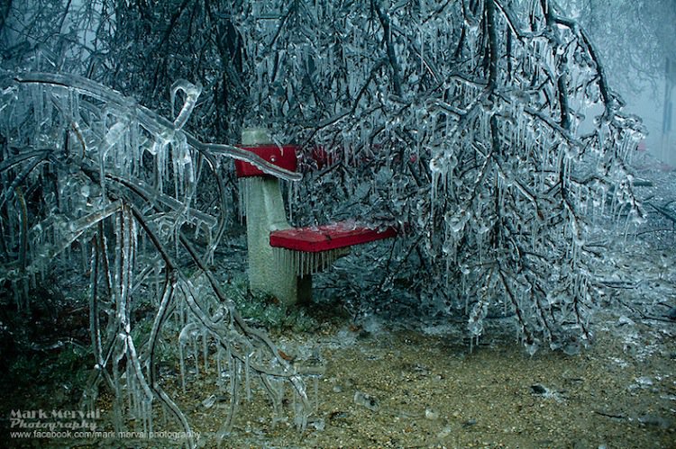 frozen-bench-two