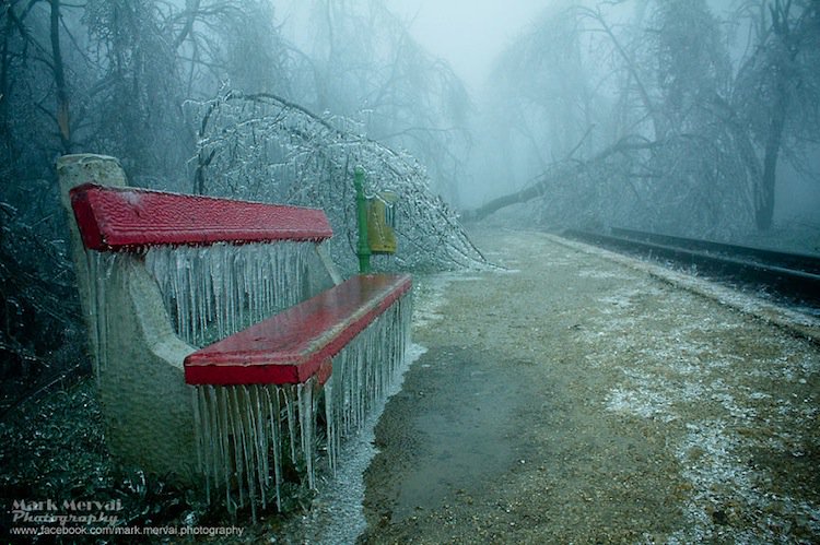 frozen-bench