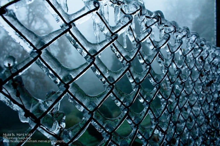 frozen-fence