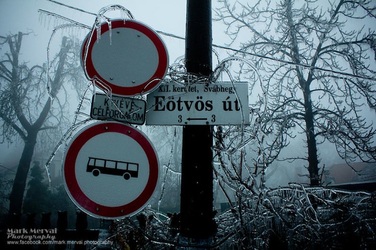 frozen-sign