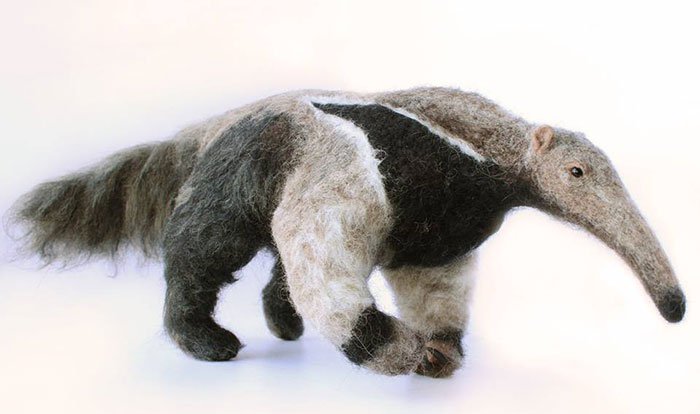 giant anteater