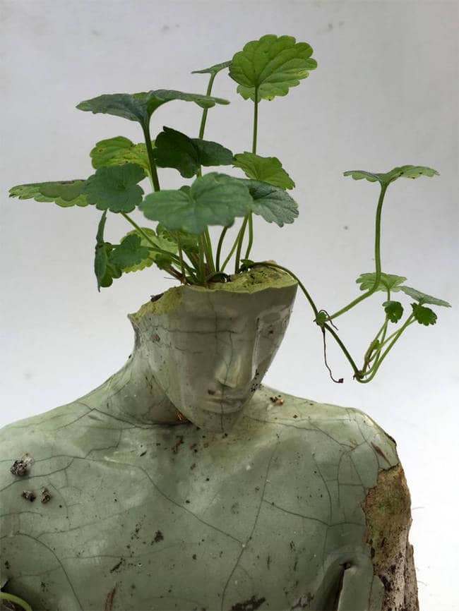 human sculpture plant head