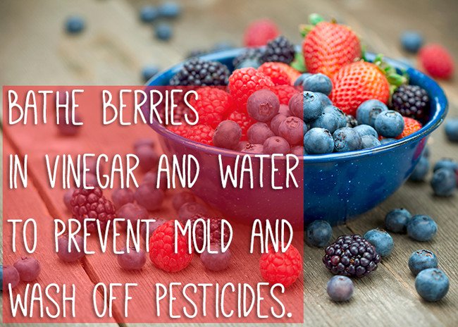 keep-food-fresh-berries