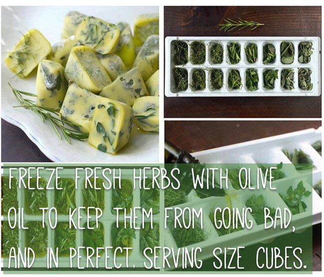 keep-food-fresh-herbs