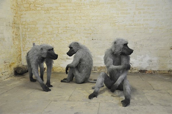 kendra-haste-baboons