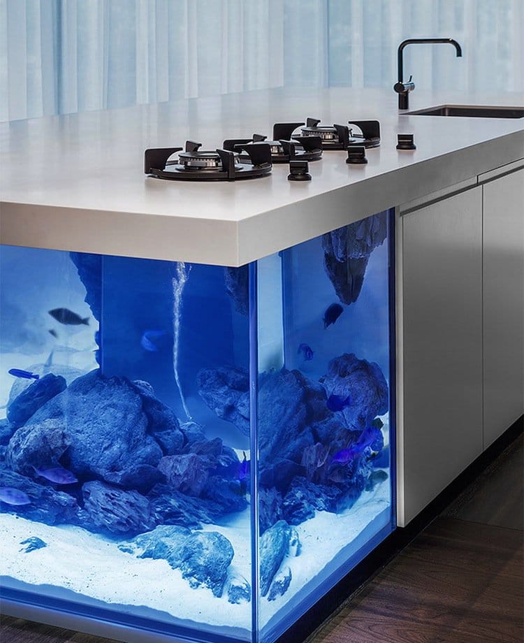 kitchen-aquarium-three