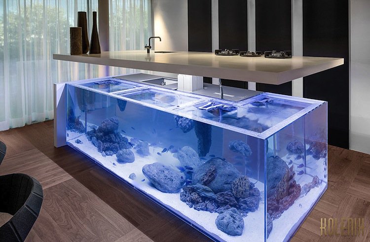 kitchen-aquarium-two