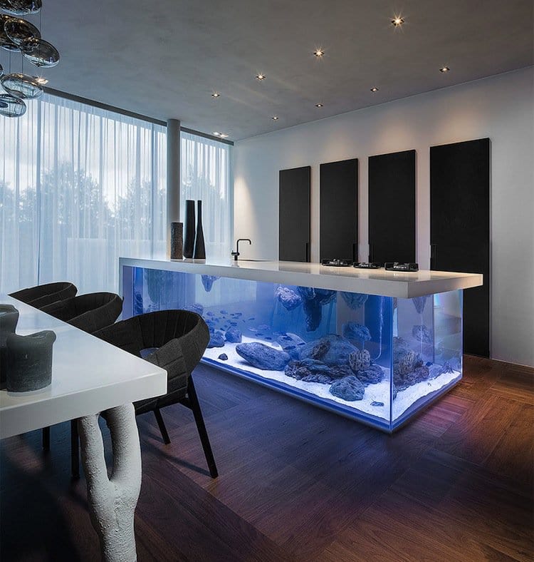 kitchen-aquarium