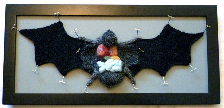 knitted bat frame