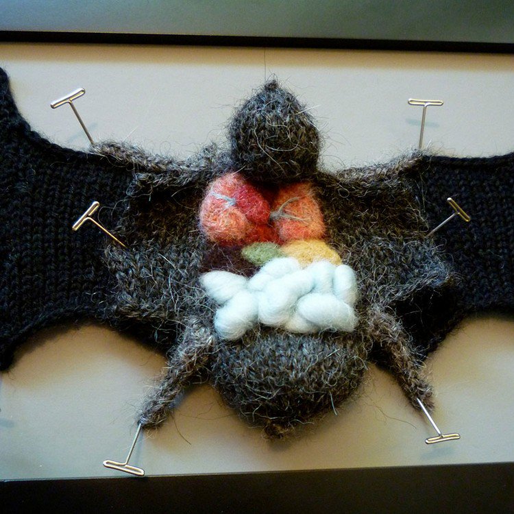 knitted bat