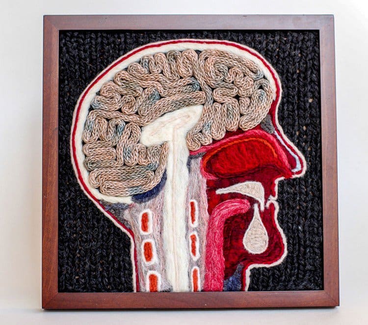 knitted brain