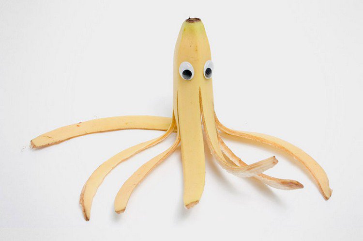 octopus banana