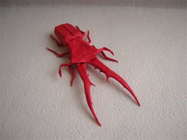 origami-beetle
