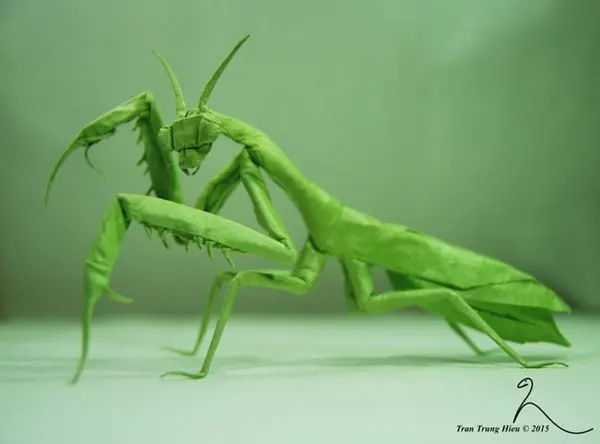 origami-mantis