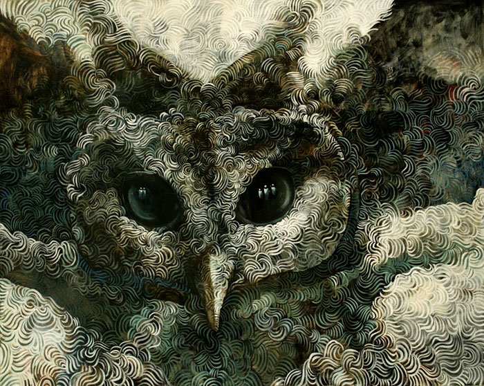owl swirls